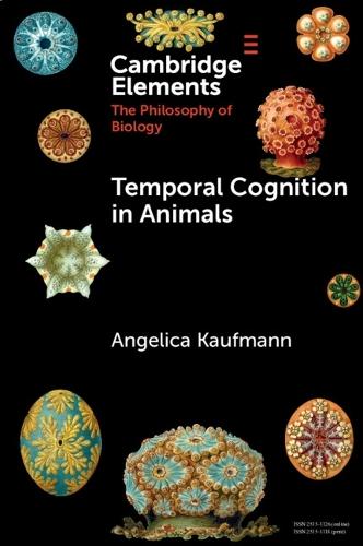 Temporal Cognition in Animals  by Angelica Kaufmann (University of Milan) at Abbey's Bookshop, 