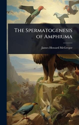 The Spermatogenesis of Amphiuma  by James Howard McGregor at Abbey's Bookshop, 
