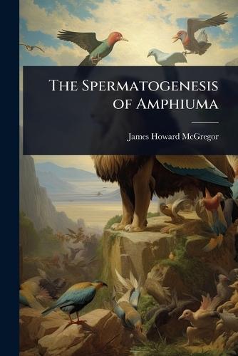 The Spermatogenesis of Amphiuma  by James Howard McGregor at Abbey's Bookshop, 