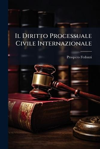 Il Diritto Processuale Civile Internazionale  by Prospero Fedozzi at Abbey's Bookshop, 