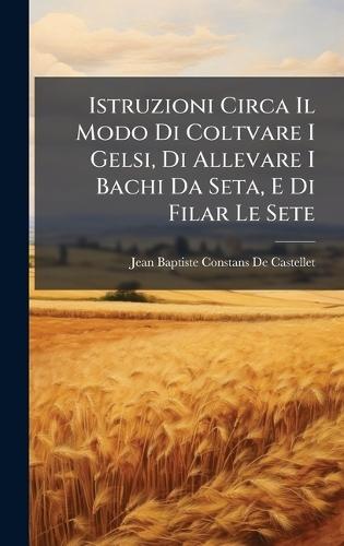 Istruzioni Circa Il Modo Di Coltvare I Gelsi, Di Allevare I Bachi Da Seta, E Di Filar Le Sete  by Jean Baptiste Constans De Castellet at Abbey's Bookshop, 