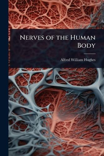Nerves of the Human Body  by Alfred William Hughes at Abbey's Bookshop, 