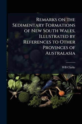 Remarks on the Sedimentary Formations of New South Wales, Illustrated by References to Other Provinces of Australasia  by Wb Clarke at Abbey's Bookshop, 