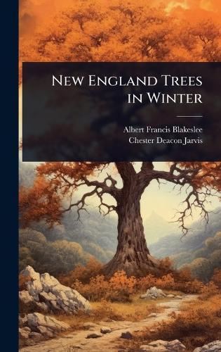New England Trees in Winter  by Albert Francis Blakeslee at Abbey's Bookshop, 