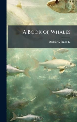A Book of Whales  by Frank E 1858-1925 Beddard at Abbey's Bookshop, 