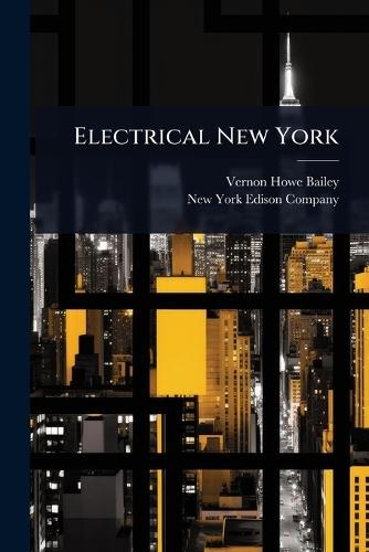Electrical New York  by Vernon Howe Bailey at Abbey's Bookshop, 