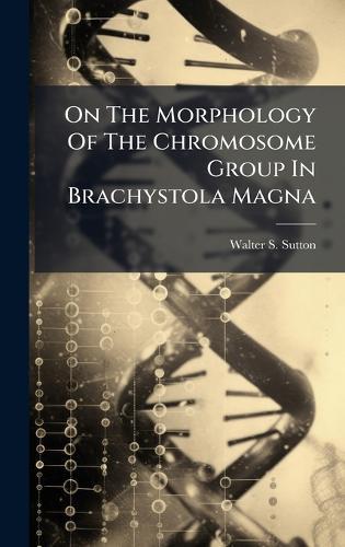 On The Morphology Of The Chromosome Group In Brachystola Magna  by Walter S Sutton at Abbey's Bookshop, 