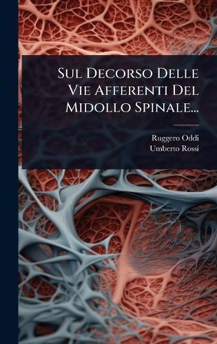 Sul Decorso Delle Vie Afferenti Del Midollo Spinale...  by Ruggero Oddi at Abbey's Bookshop, 