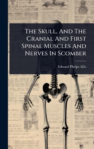 The Skull, And The Cranial And First Spinal Muscles And Nerves In Scomber  by Edward Phelps Allis at Abbey's Bookshop, 