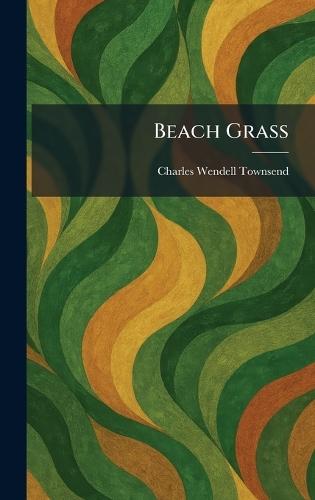 Beach Grass  by Charles Wendell Townsend at Abbey's Bookshop, 