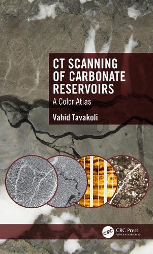 CT Scanning of Carbonate Reservoirs: A Color Atlas  by Vahid Tavakoli (University of Tehran) at Abbey's Bookshop, 