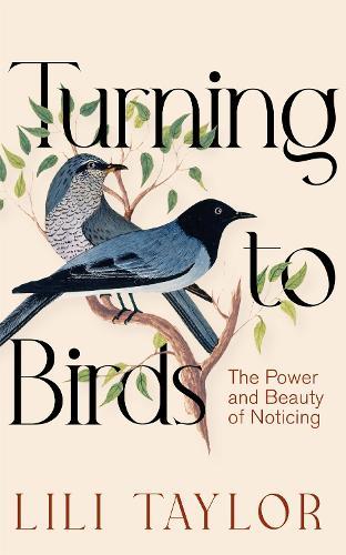 Turning to Birds: The Power and Beauty of Noticing  by Lili Taylor at Abbey's Bookshop, 