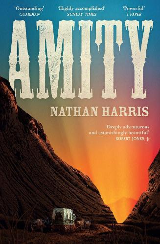 Amity: from the Booker-longlisted author of The Sweetness of Water  by Nathan Harris at Abbey's Bookshop, 