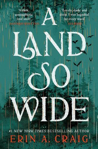 A Land So Wide: A breathtaking, deliciously dark fairy tale from #1 New York Times and USA Today bestselling author Erin A. Craig