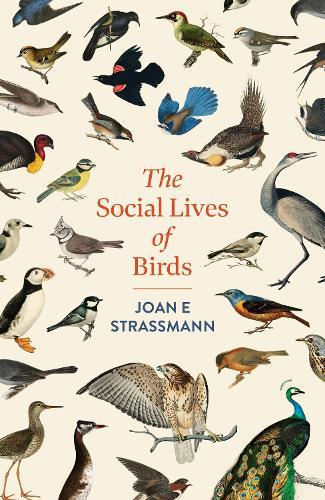 The Social Lives of Birds  by Joan E. Strassmann at Abbey's Bookshop, 