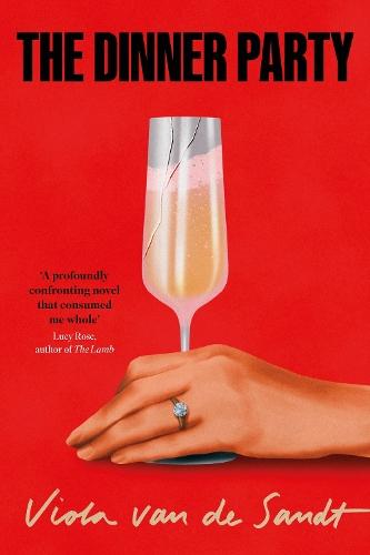The Dinner Party  by Viola van de Sandt at Abbey's Bookshop, 