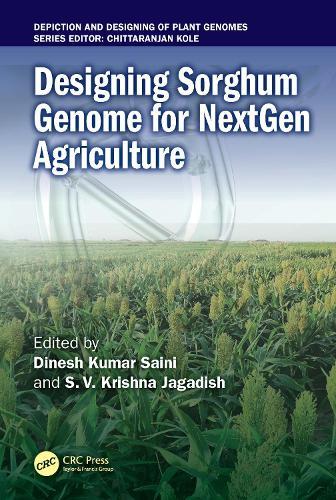 Designing Sorghum Genome for NextGen Agriculture  by Dinesh Kumar Saini (Dept. of Plant and Soil Science, Texas Tech Univ., Lubbock, TX) at Abbey's Bookshop, 