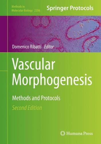 Vascular Morphogenesis: Methods and Protocols  by Domenico Ribatti at Abbey's Bookshop, 