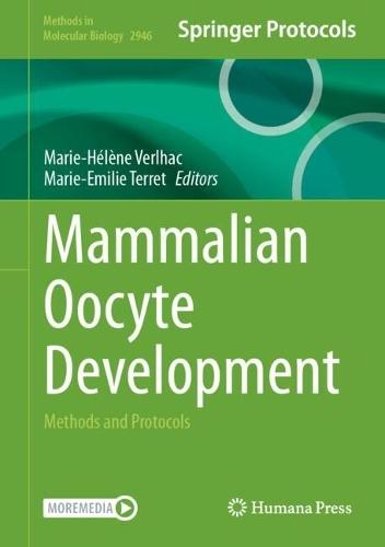 Mammalian Oocyte Development: Methods and Protocols  by Marie-Hélène Verlhac at Abbey's Bookshop, 