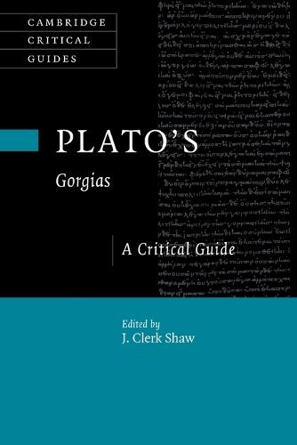 Plato's Gorgias: A Critical Guide