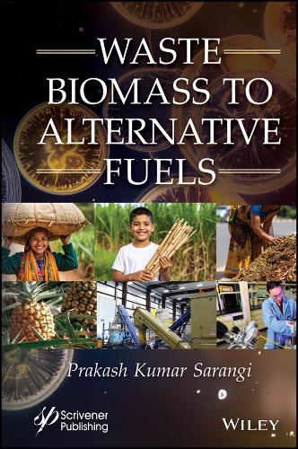 Waste Biomass to Alternative Fuels  by Prakash Kumar Sarangi (Central Agricultural University, Imphal, India) at Abbey's Bookshop, 