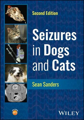 Dementia in Dogs: Diagnosis, therapy, and everyday help for canine cognitive dysfunction