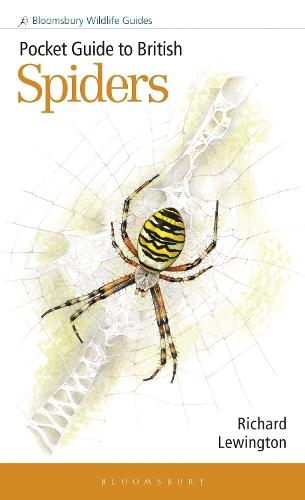 Pocket Guide to British Spiders  by Richard Lewington at Abbey's Bookshop, 