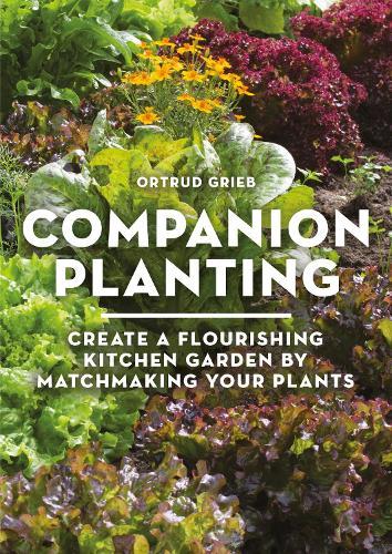 Companion Planting: Create a Flourishing Kitchen Garden By Matchmaking Your Plants  by Ortrud Grieb at Abbey's Bookshop, 
