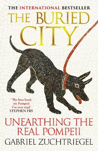 The Buried City: Unearthing the Real Pompeii - the Instant Sunday Times Bestseller  by Gabriel Zuchtriegel at Abbey's Bookshop, 