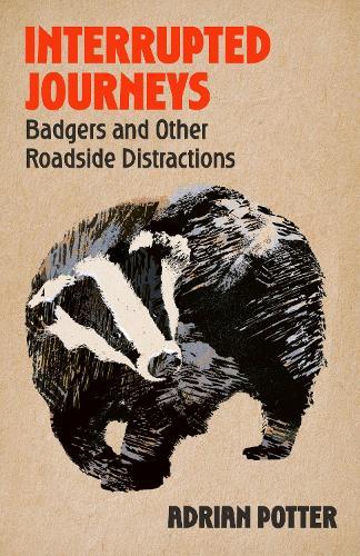 Interrupted Journeys: Badgers and Other Roadside Distractions  by Adrian Potter at Abbey's Bookshop, 