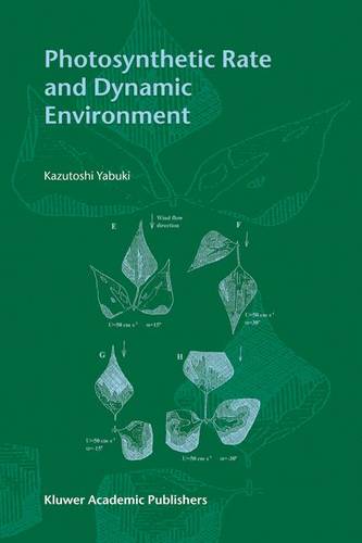 Photosynthetic Rate and Dynamic Environment  by Kazutoshi Yabuki at Abbey's Bookshop, 