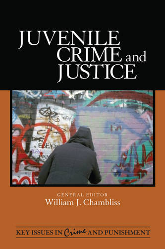 The Age of Culpability: Children and the Nature of Criminal Responsibility