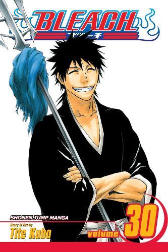 Bleach Vol 30 (GN)