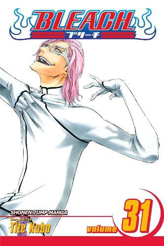 Bleach Vol 31 (GN)