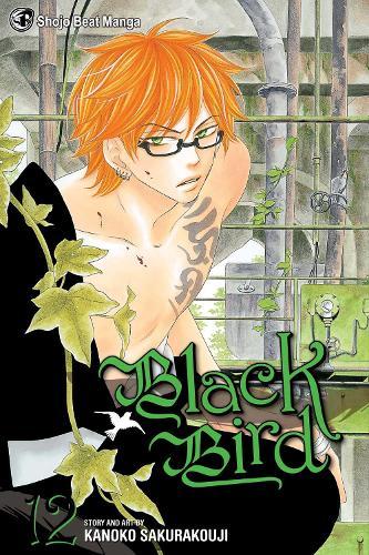 Black Bird Vol 12 (GN)  by Kanoko Sakurakouji at Abbey's Bookshop, 