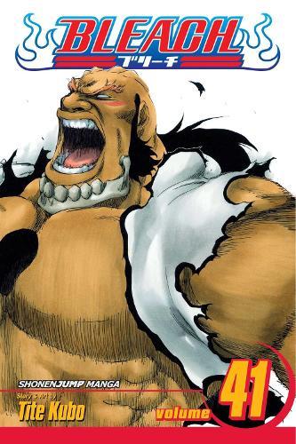 Bleach Vol 41 (GN)