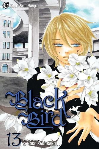 Black Bird Vol 13 (GN)