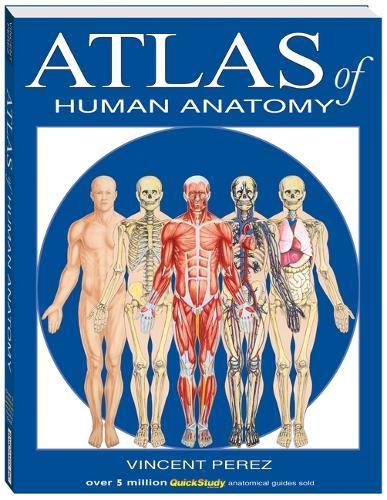 Atlas of the Human Anatomy: A Quickstudy Reference  by Vincent Perez at Abbey's Bookshop, 