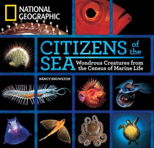 Citizens of the Sea: Wondrous Creatures from the Census of Marine Life  by Nancy Knowlton at Abbey's Bookshop, 