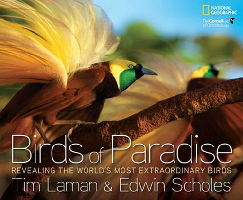 Birds of Paradise: Revealing the World's Most Extraordinary Birds  by Tim Laman at Abbey's Bookshop, 