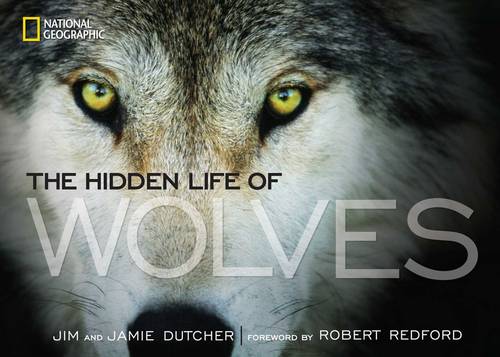 The Hidden Life of Wolves  by Jim Dutcher at Abbey's Bookshop, 