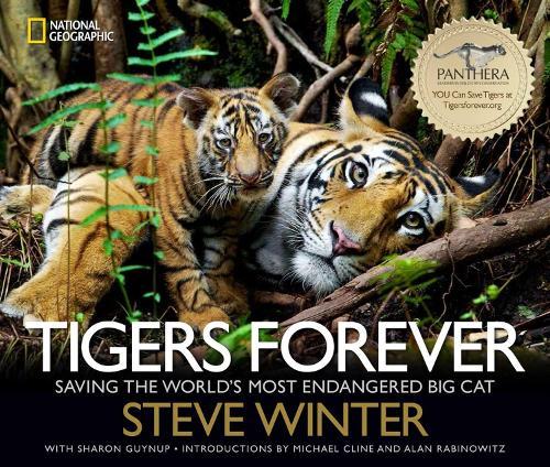 Tigers Forever: Saving the World's Most Endangered Big Cat  by Steve Winter at Abbey's Bookshop, 