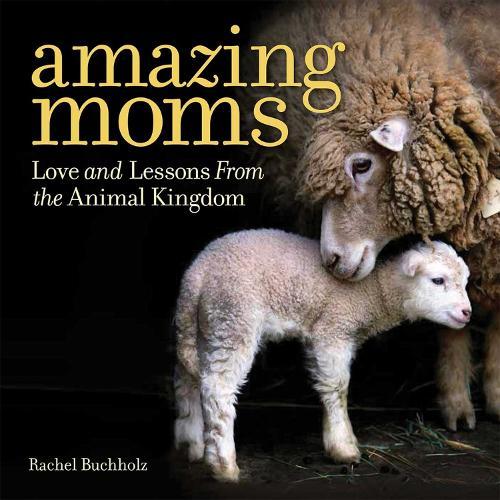 Amazing Moms: Love and Lessons From the Animal Kingdom  by Rachel Buchholz at Abbey's Bookshop, 