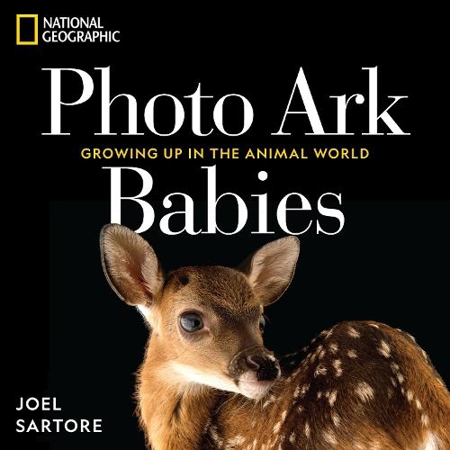 National Geographic Photo Ark Babies: Growing Up in the Animal World  by Joel Sartore at Abbey's Bookshop, 