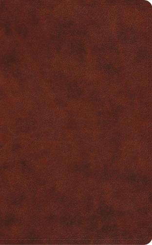 ESV Vest Pocket New Testament with Psalms and Proverbs, Red Letter  at Abbey's Bookshop, 