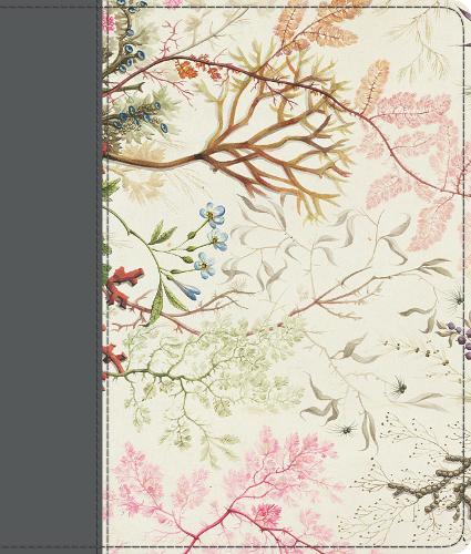 ESV Journaling Bible  at Abbey's Bookshop, 