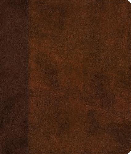 ESV Journaling Bible  at Abbey's Bookshop, 