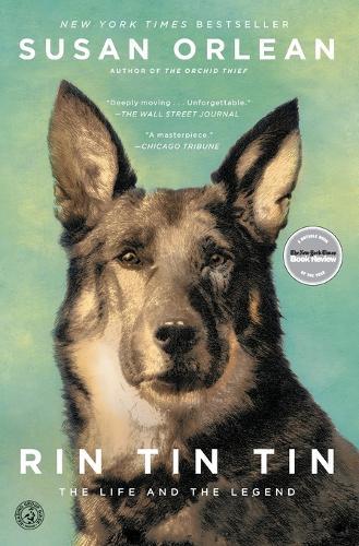 Rin Tin Tin: The Life and the Legend  by Susan Orlean at Abbey's Bookshop, 