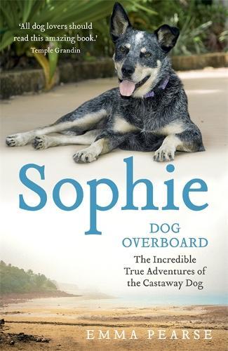 Sophie: dog overboard: dog overboard  by Emma Pearse at Abbey's Bookshop, 