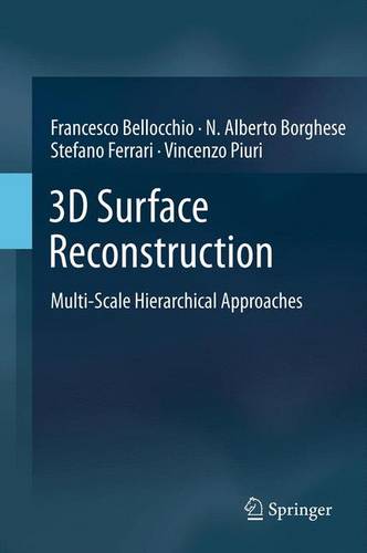 3D Surface Reconstruction: Multi-Scale Hierarchical Approaches  by Francesco Bellocchio at Abbey's Bookshop, 